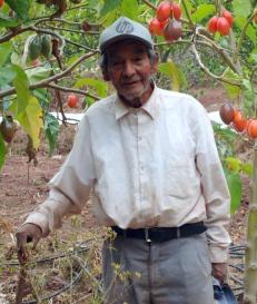 Ángel Ibarra Quispe (87 años)